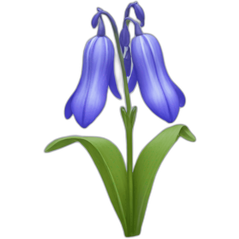 Bluebell flower emoji