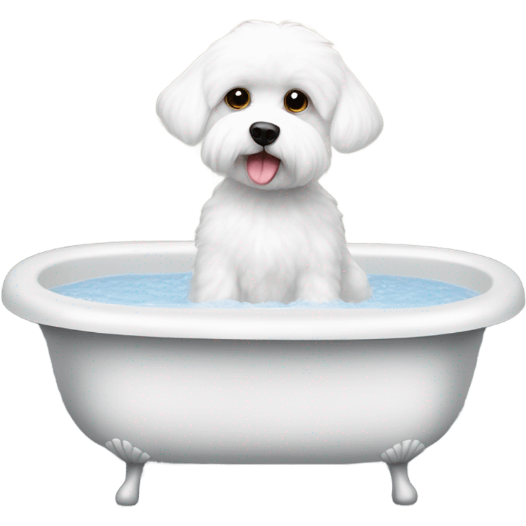 Maltese bichon in the bathtub emoji