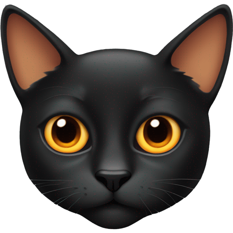 Black cat with big orange eyes  emoji