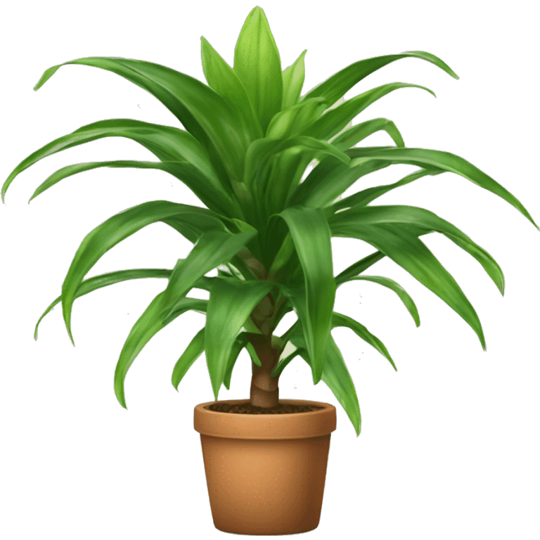 dracaena houseplant emoji