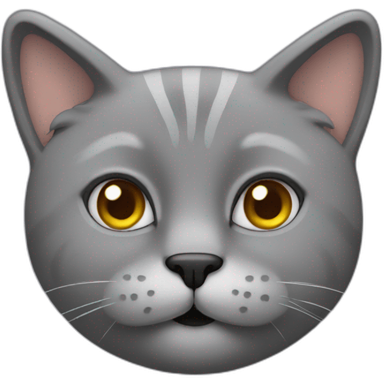 grey cat with a mustach emoji