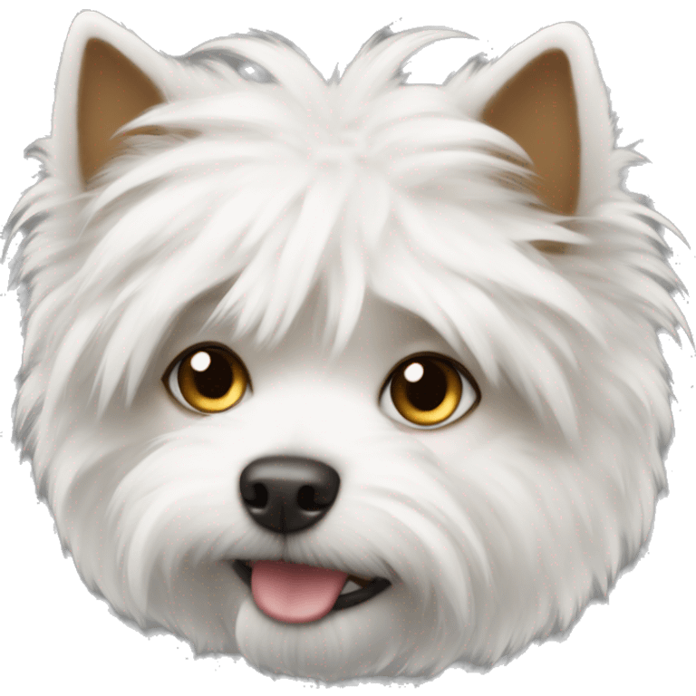 White fluffy little dog  emoji