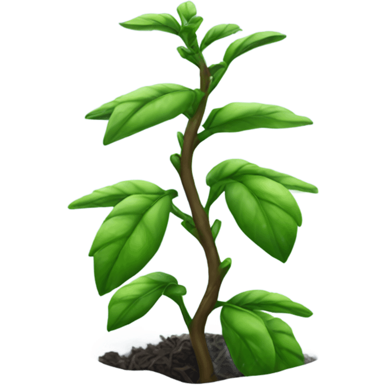 Tea plant in snow emoji