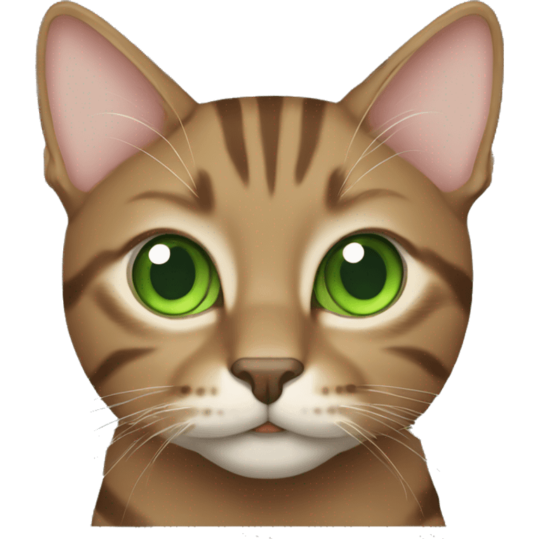 Tabby brown cat with green eyes  emoji