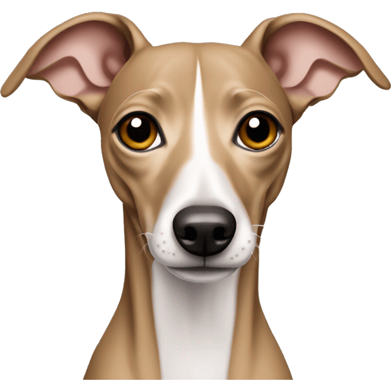 Tan Italian greyhound emoji