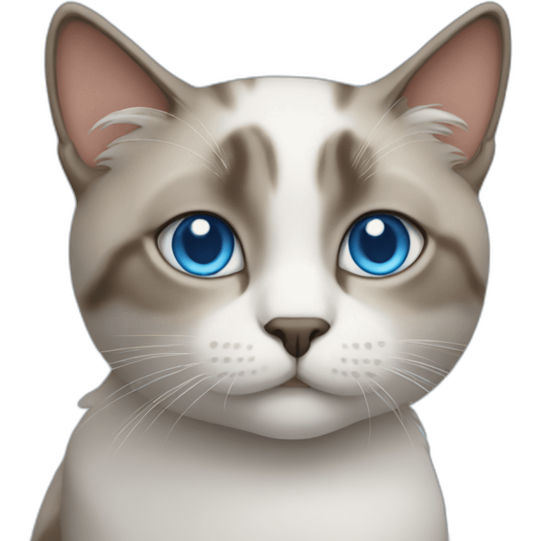 cat with blue eyes emoji