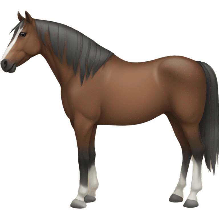 horse rug emoji