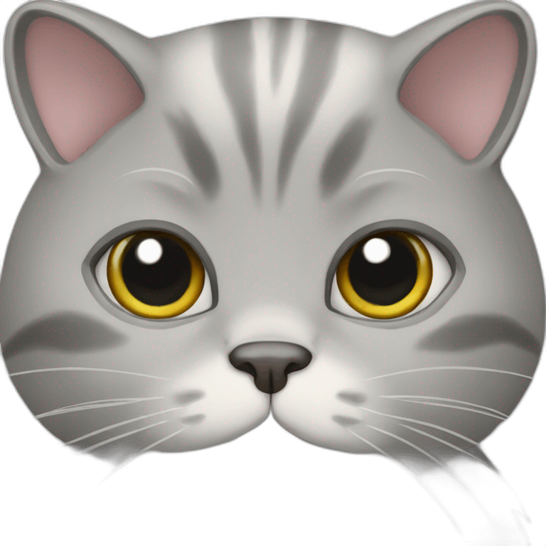 Chinchilla gray cat emoji