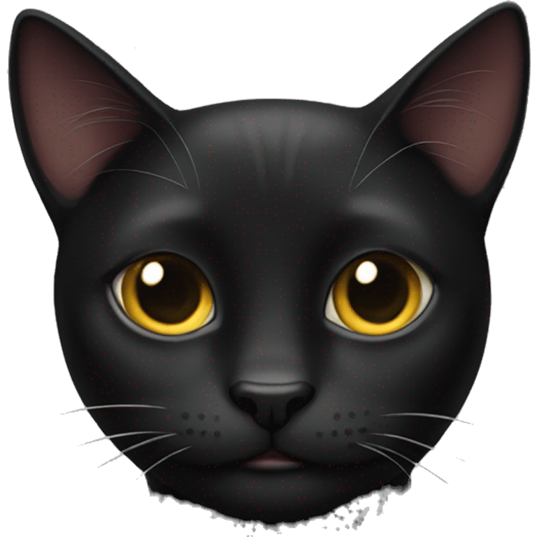 black cat emoji