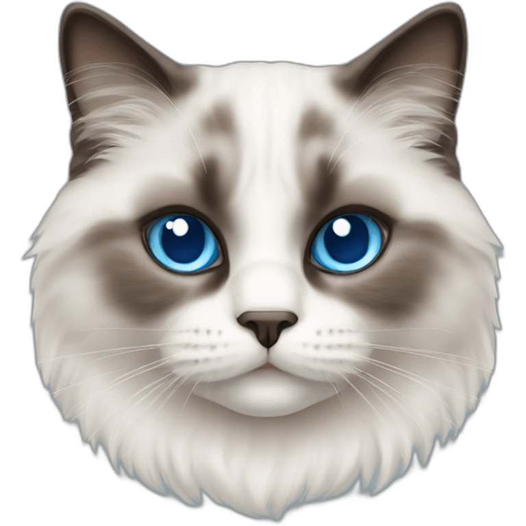 ragdoll cat blue eyes emoji