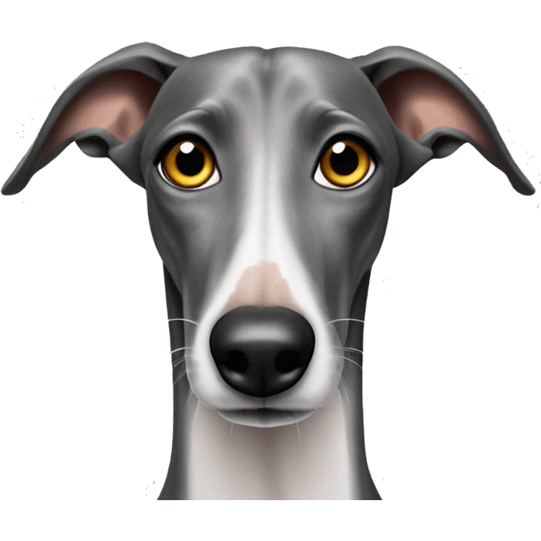 galgo mit zahnweh emoji