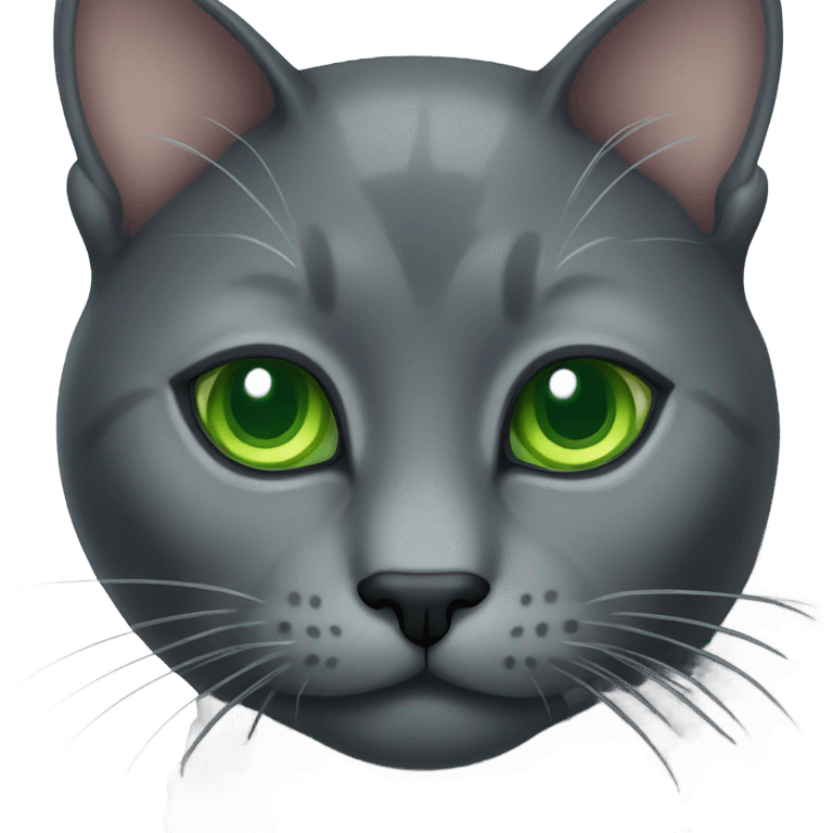 dark gray cat with green eyes emoji