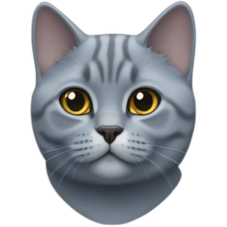 British Shorthair Blue Cat emoji