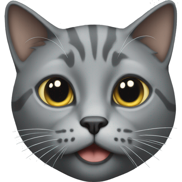 realistic grey cat without stripes  emoji