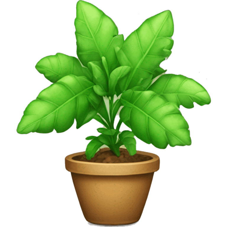 Zanzibar Gem plant emoji