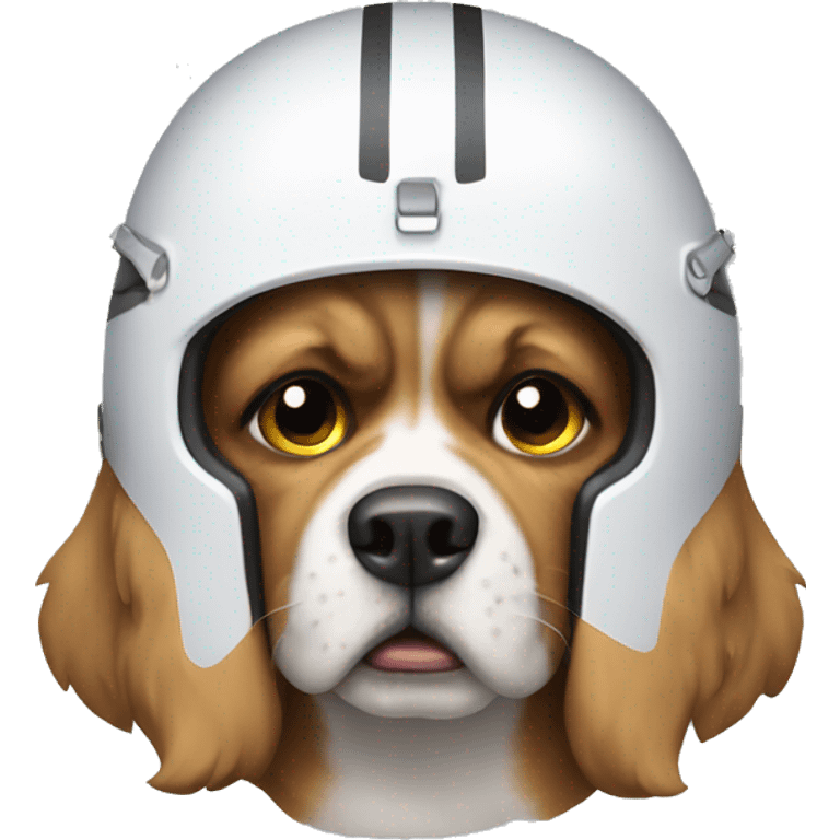 Dog angry wearing helmet  emoji