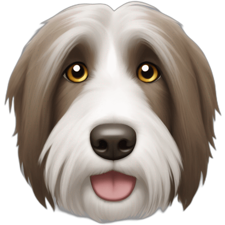 Bearded collie brown spot emoji