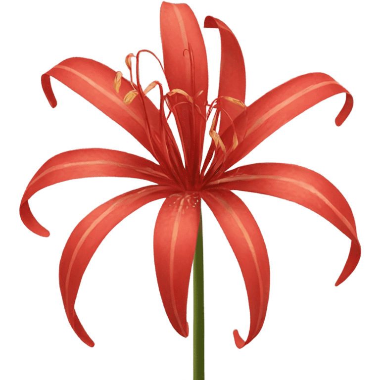 red spider lily emoji