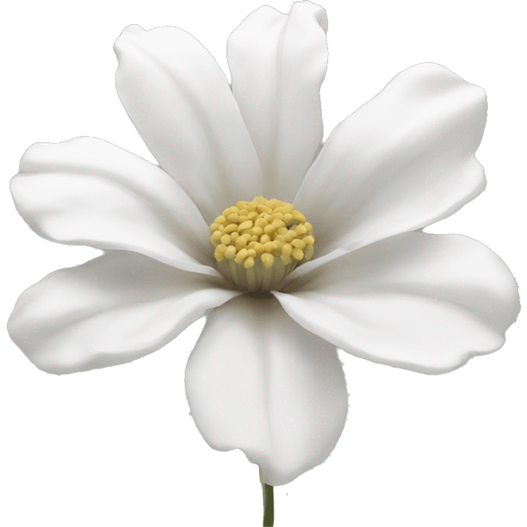 Aesthetic flower white emoji