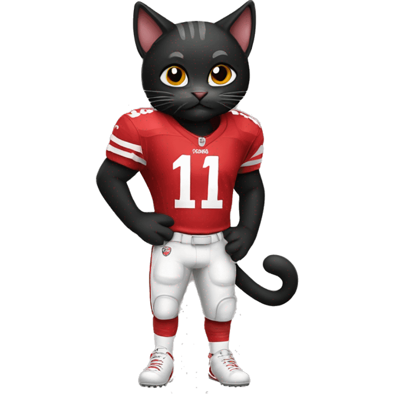 Black cat wearing a niners jersey emoji