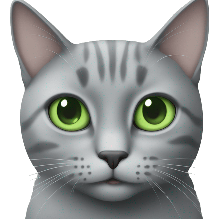 Grey cat with green eyes seating in front of the MacBook emoji