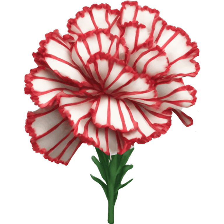 Striped carnations emoji