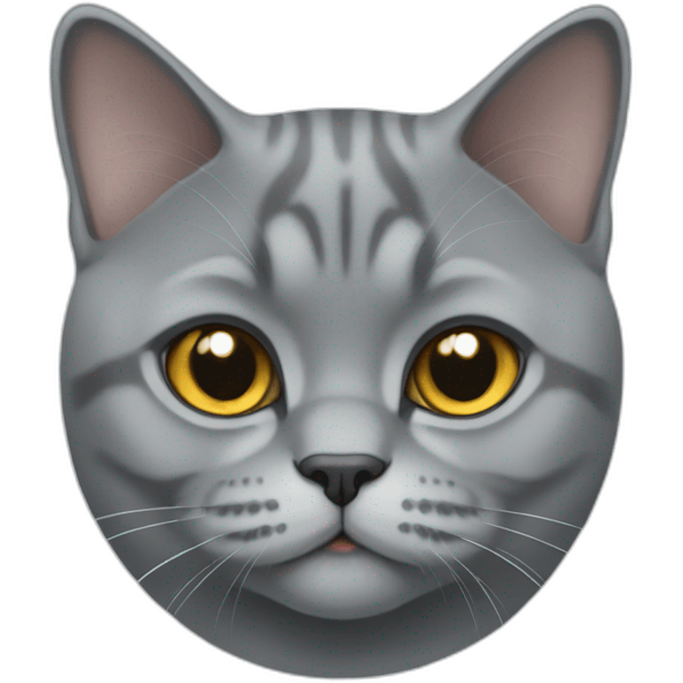 british shorthair cat emoji