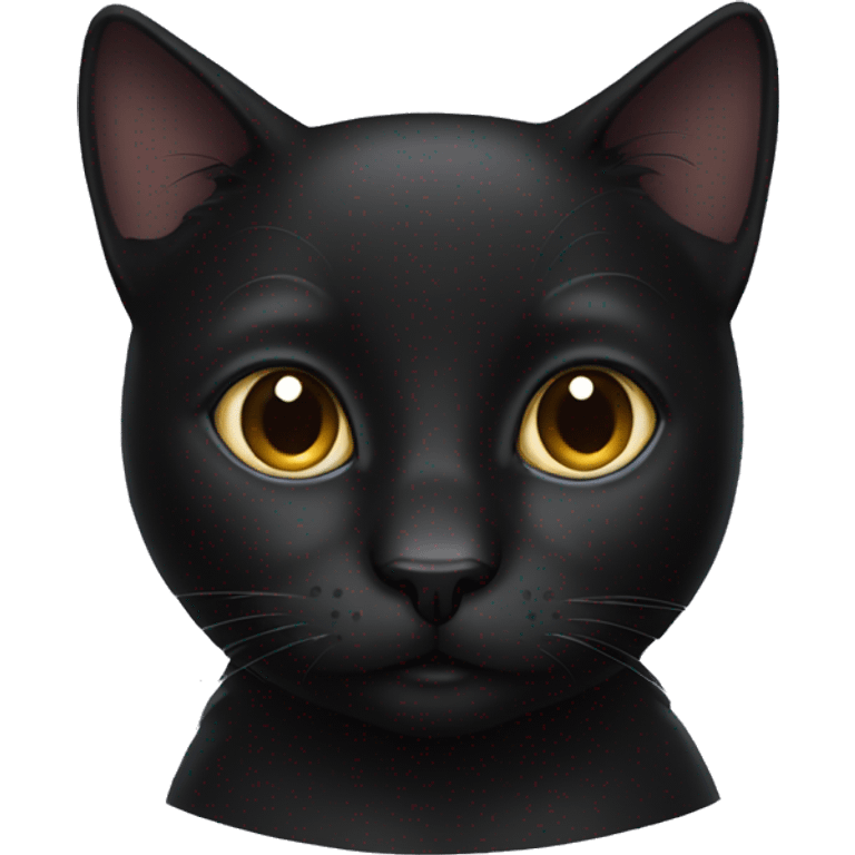 all black cat  emoji