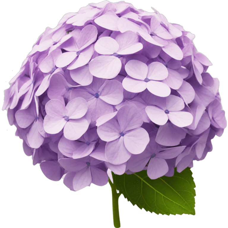 hydrangea emoji