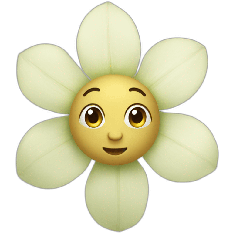 Chou fleur  emoji