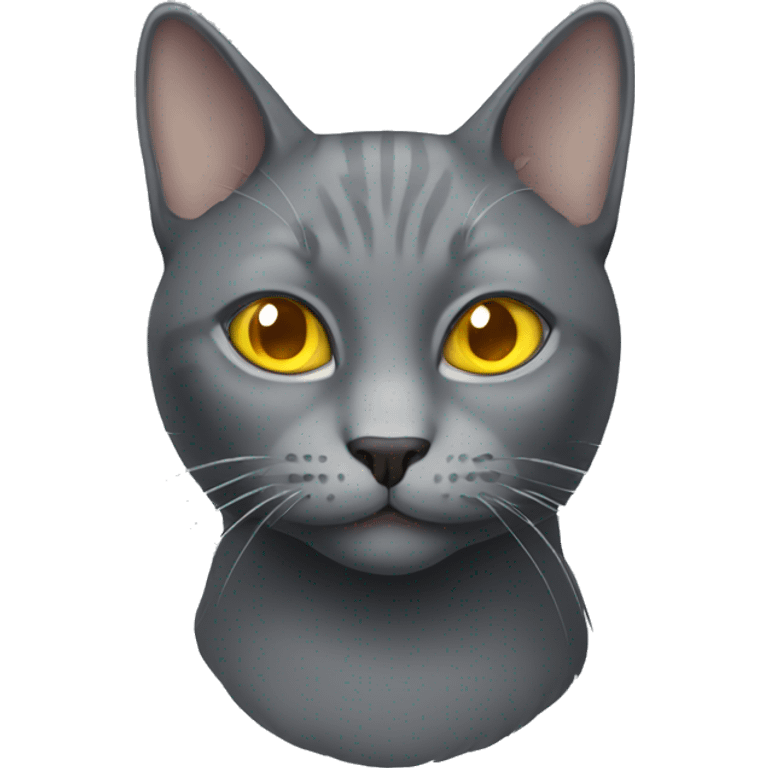 Grey cat with yellow eyes  emoji