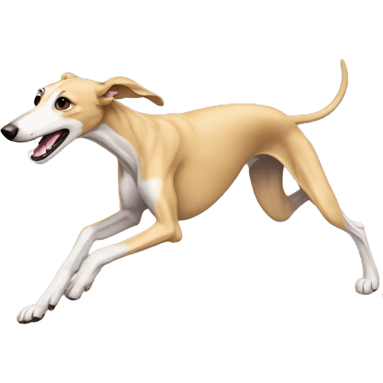 Galgo beige running emoji