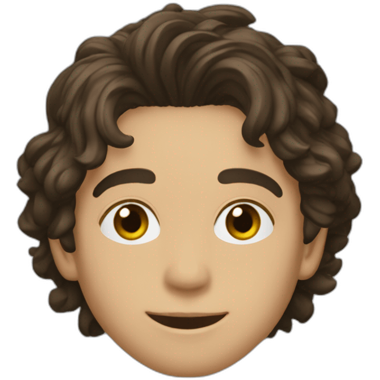 Timothée Chamalet emoji