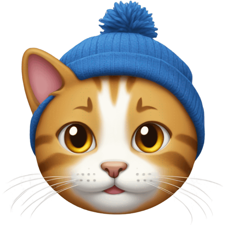 Cat with a beenie  emoji