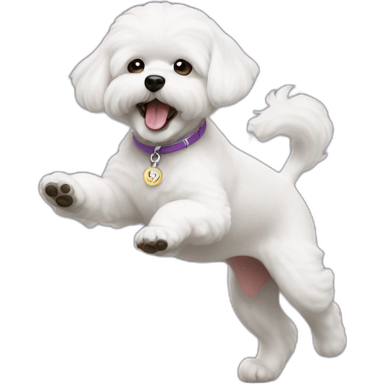 bichon dancing emoji