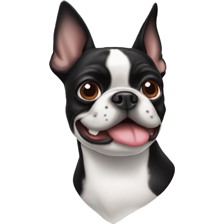 Boston terrier head emoji