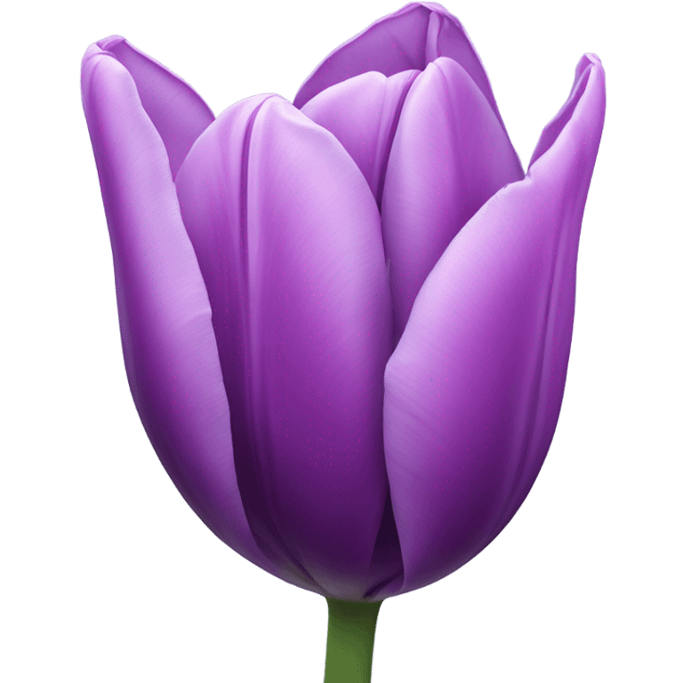 Purple tulip  emoji