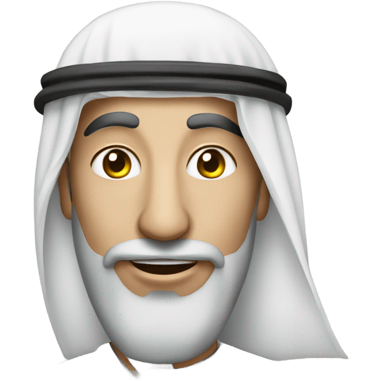 Dubai dirhams money emoji