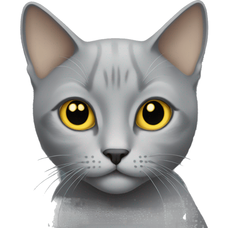 Grey cat with gold eyes short hair  emoji