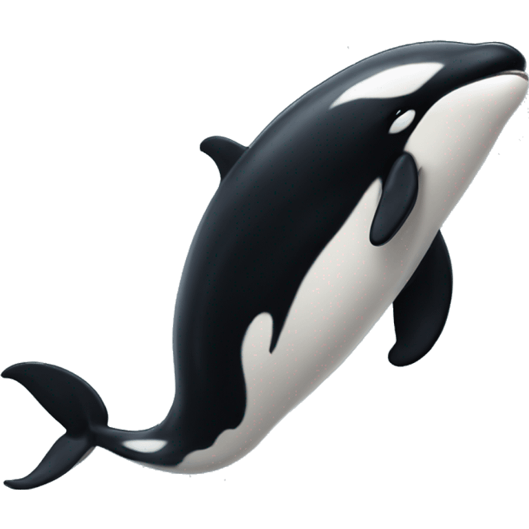 bear killer whale hybrid  emoji