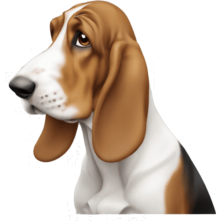 Light brown and white basset hound emoji