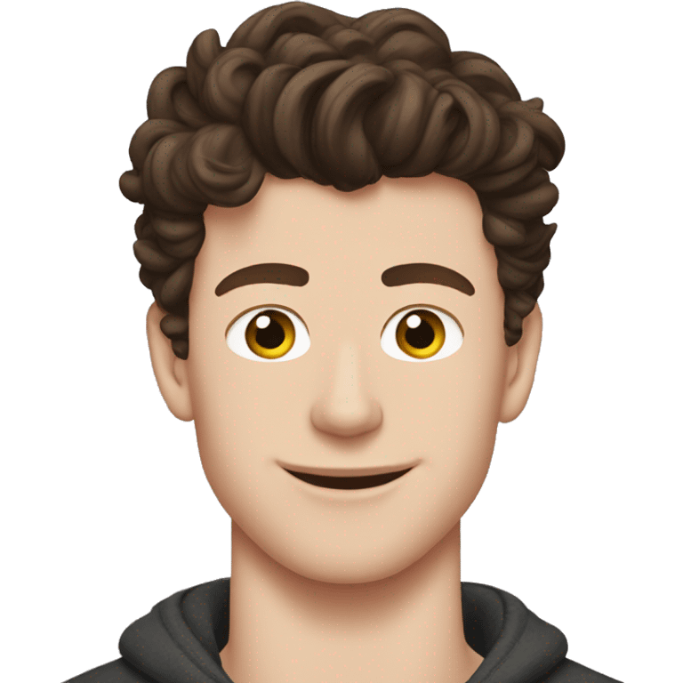 Shawn Mendes  emoji