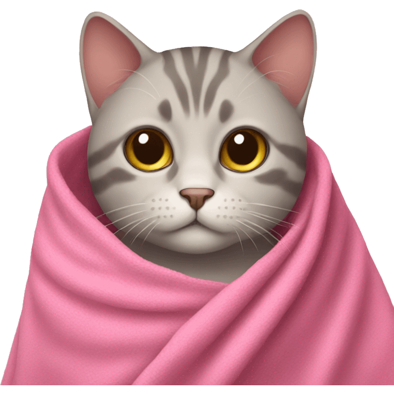 Cat with pink blanket  emoji