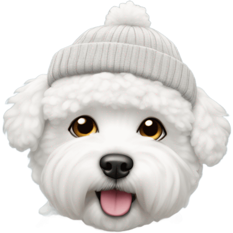 Bichon frise wearing a beanie emoji