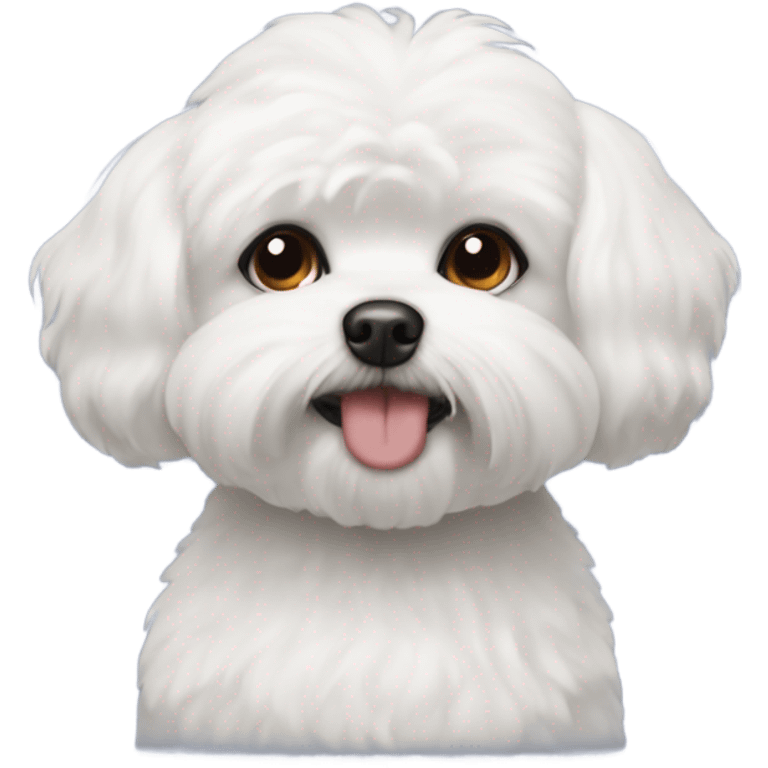 Bichon shitzu emoji