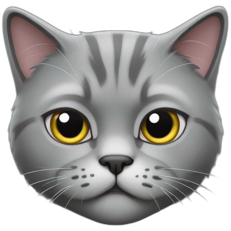 Scottish grey cat with grumpy face emoji