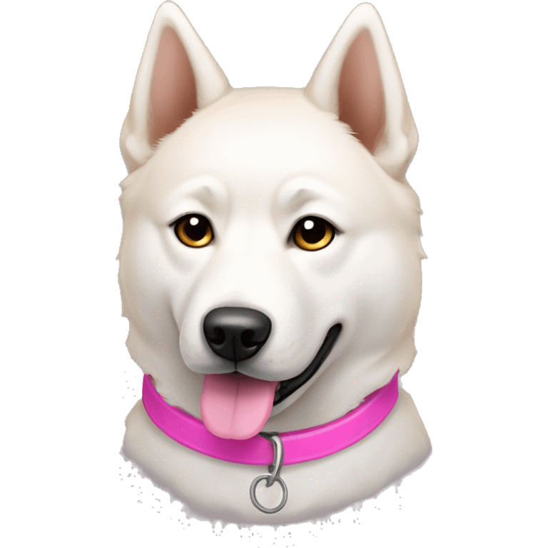 White jindo dog with pointy light brown ears and pink collar emoji