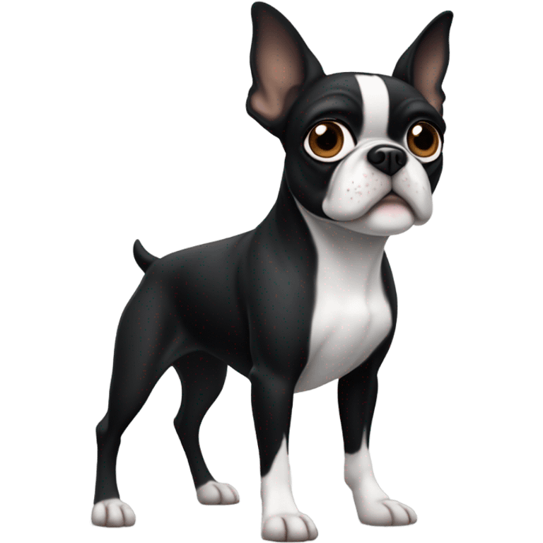 A boston Terrier  emoji