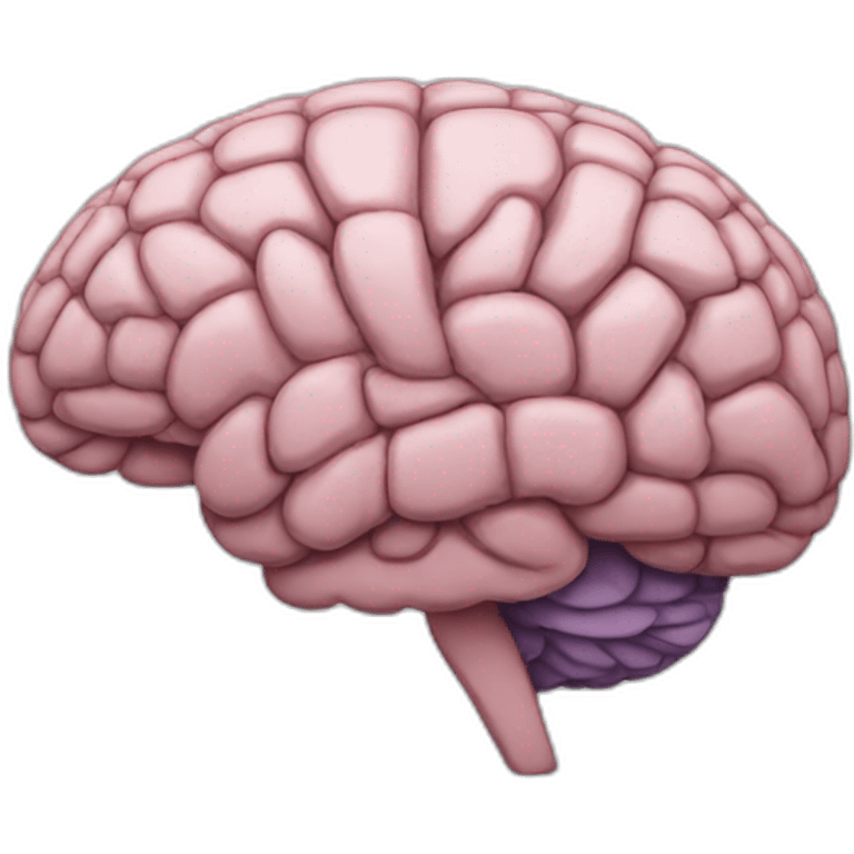 cerebrum emoji