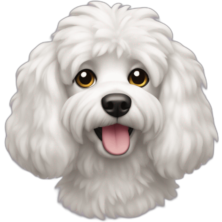 caniche blanco emoji